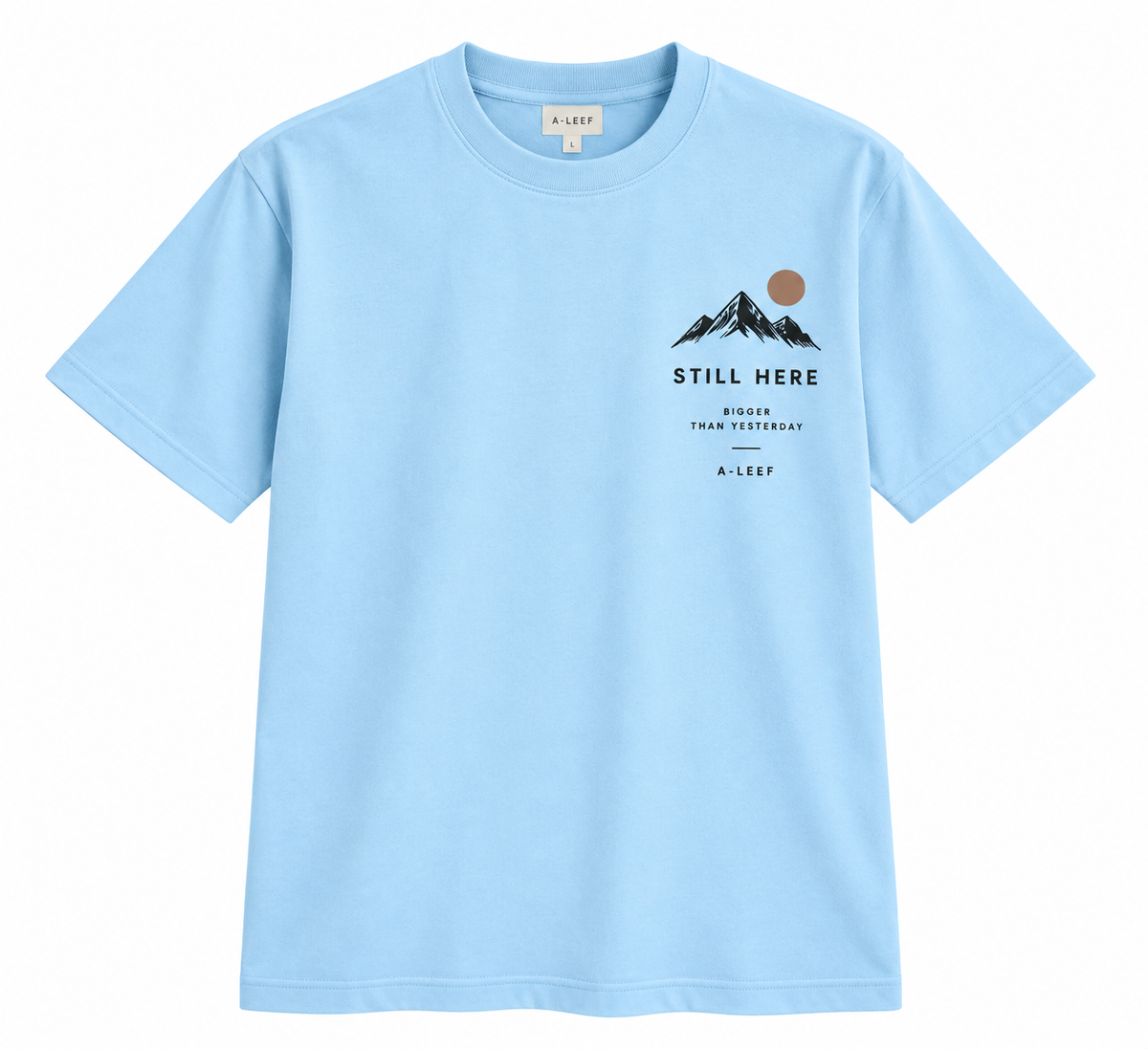 Regular Fit Premium Cotton T-Shirt – Sky Sill Here